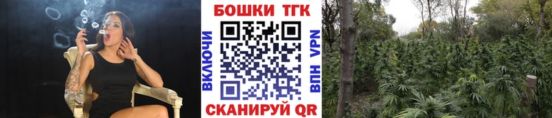 Марихуана OG Kush  Купить закладки  Шарыпово 